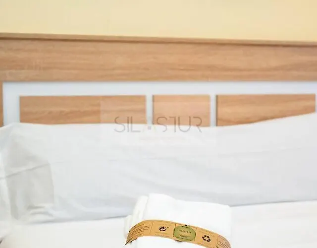 Aleyan By Silastur Gijón